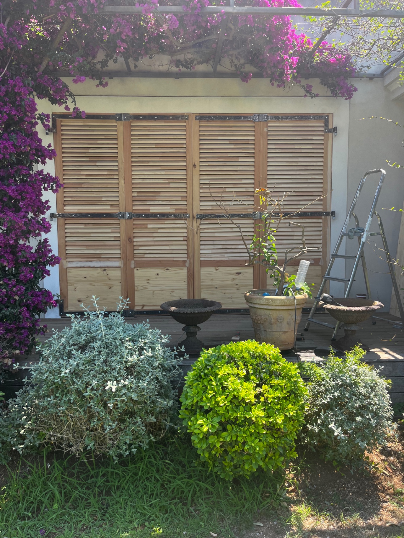 LUX RENOV — volets bois bruts vus depuis le jardin, encadrés par la bougainvillée