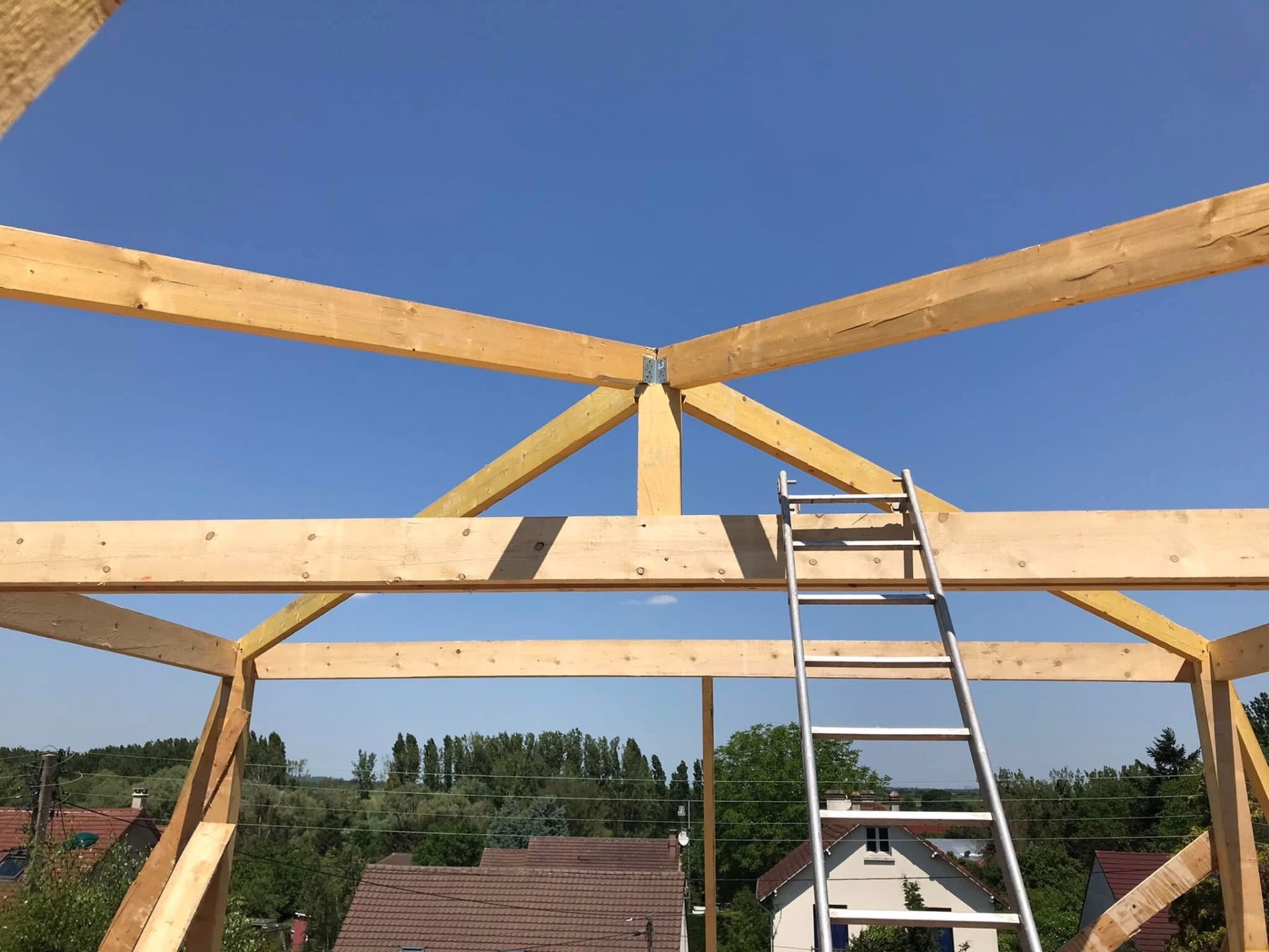 LUX RENOV — pannes et poinçon central de la charpente traditionnelle bois
